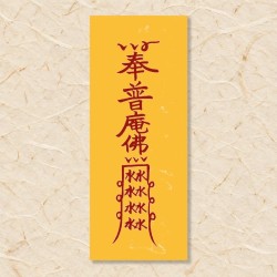 임신부(1)