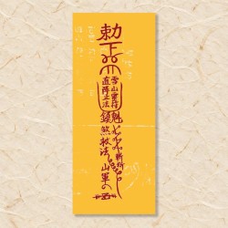 임신부
