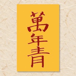 이사탈(1)